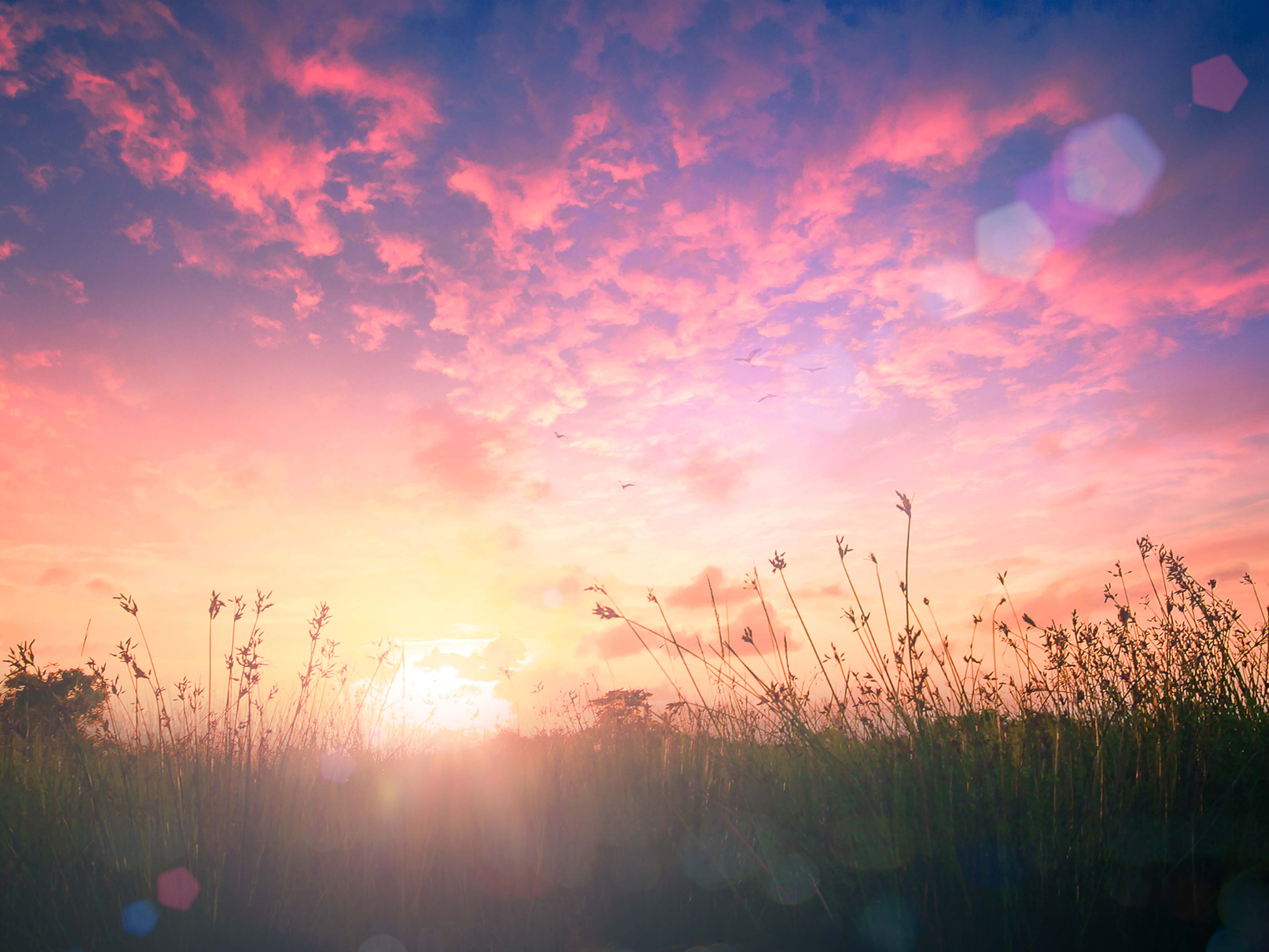 <span class='glz-mt-abo'>Abo</span> Ein geistiges Morgenrot ist angebrochen
